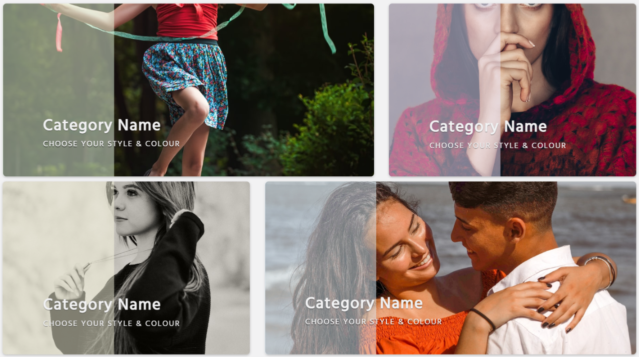 A snapshot of the one of the category examples
