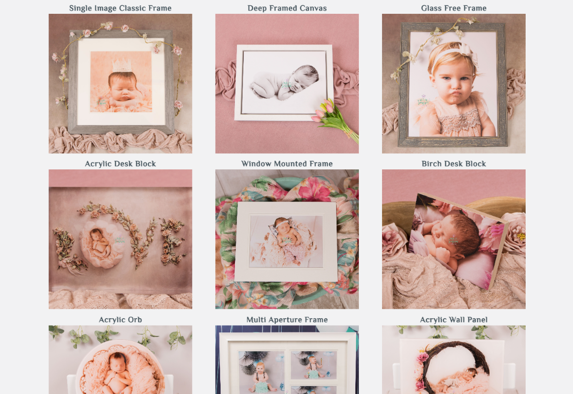 A snapshot of the frame options available section