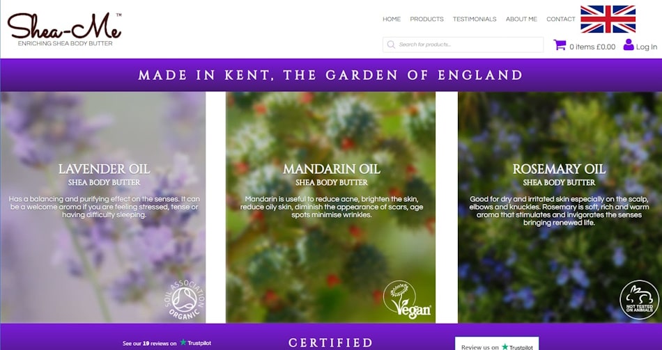design snapshot of the landing page