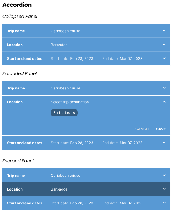 design snapshot of the accordian element