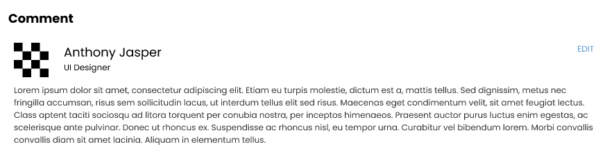 design snapshot of the comment style